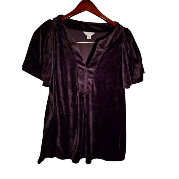 Black Velvet Velour Notch Neck Popover Shirt Ladies XS Crown Ivy Gothic Witchy - Picture 1 of 5